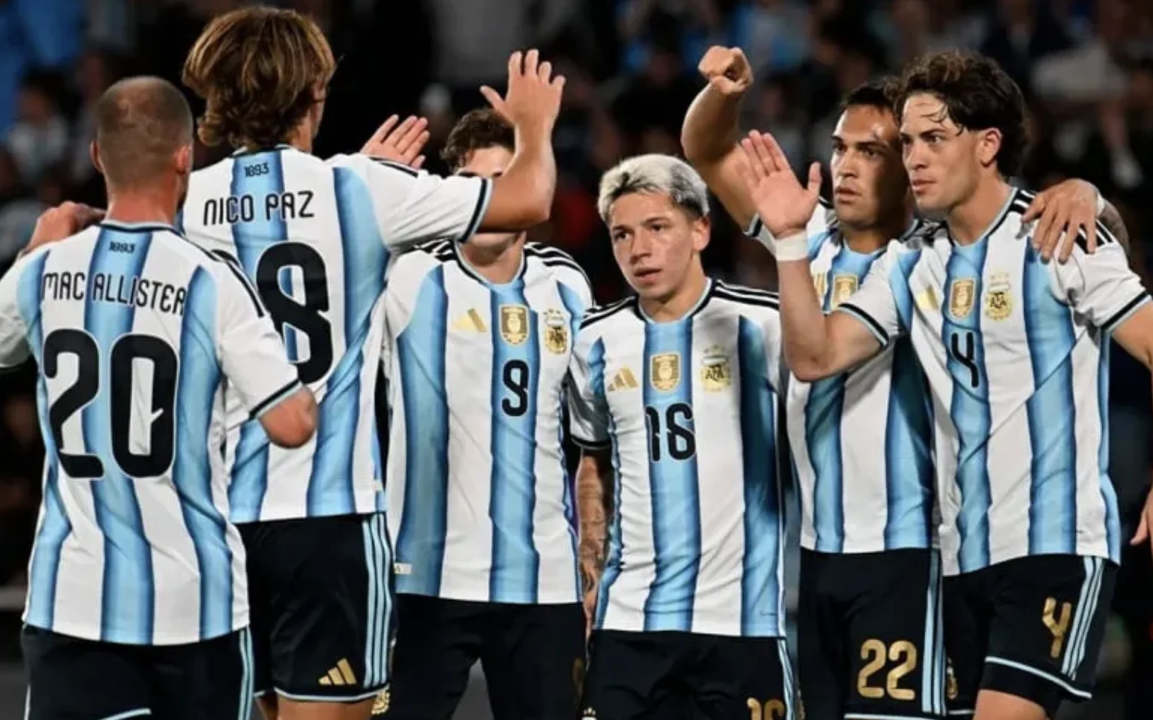 Selección Argentina: confirmaron los amistosos de noviembre en la fecha FIFA