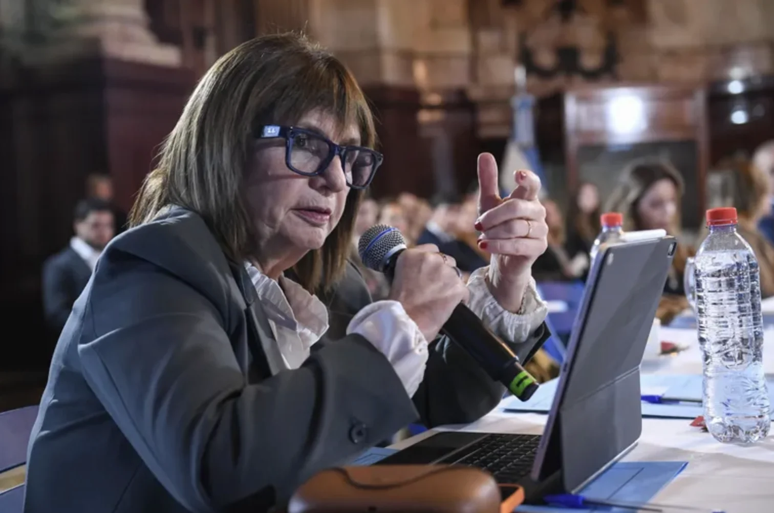 Patricia Bullrich se distancia de Javier Milei por la morosidad crediticia