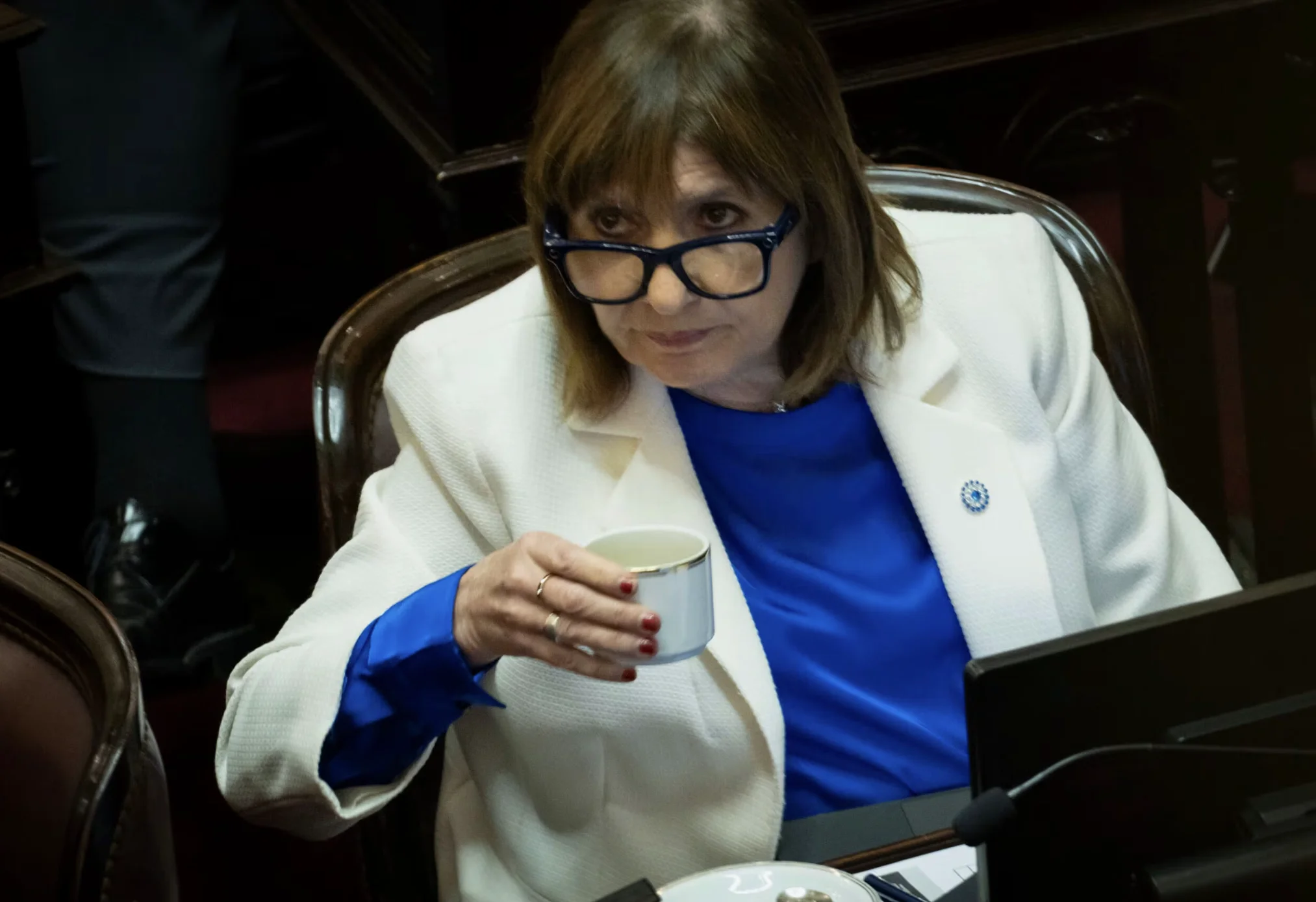 Patricia Bullrich cuestionó los cambios en discapacidad del Presupuesto 2027